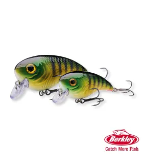 Geeen coraje Funny Fishing Lures,Top Water Bass Fishing Lures,Spinner Baits  for Bass Fishing Gear, Trout Fishing Gear，Sea bass and Jewfish Fishing Lures.,  Topwater Lures -  Canada