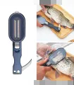 Fish Scaler with a Knife