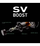 Daiwa Tatula SV TW 100