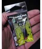 Darts Carolina Rig with Brass Bullet Weight