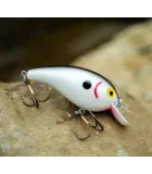 Cotton Cordell Big O