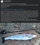 Trout Bonanza