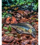 Rapala Super Shadow Rap