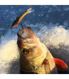 Rapala Jigging Rap