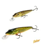 Salmo Pike