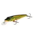 Salmo Pike