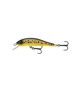 ARE handcraft 62 mm | Brown Trout 2