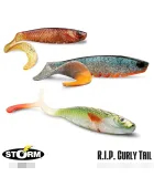 Storm R.I.P. Curly Tail