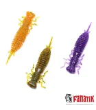 Fanatik Larva