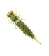 Fanatik Larva | värv 001