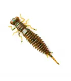 Fanatik Larva | color 004