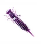 Fanatik Larva | color 008