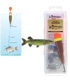 Darts Live Bait Rig for Pike Fishing