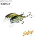 Salmo Bullhead