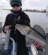 Shaker Baits Huntershad