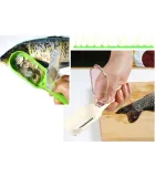 Fish Scaler with Scale Collector