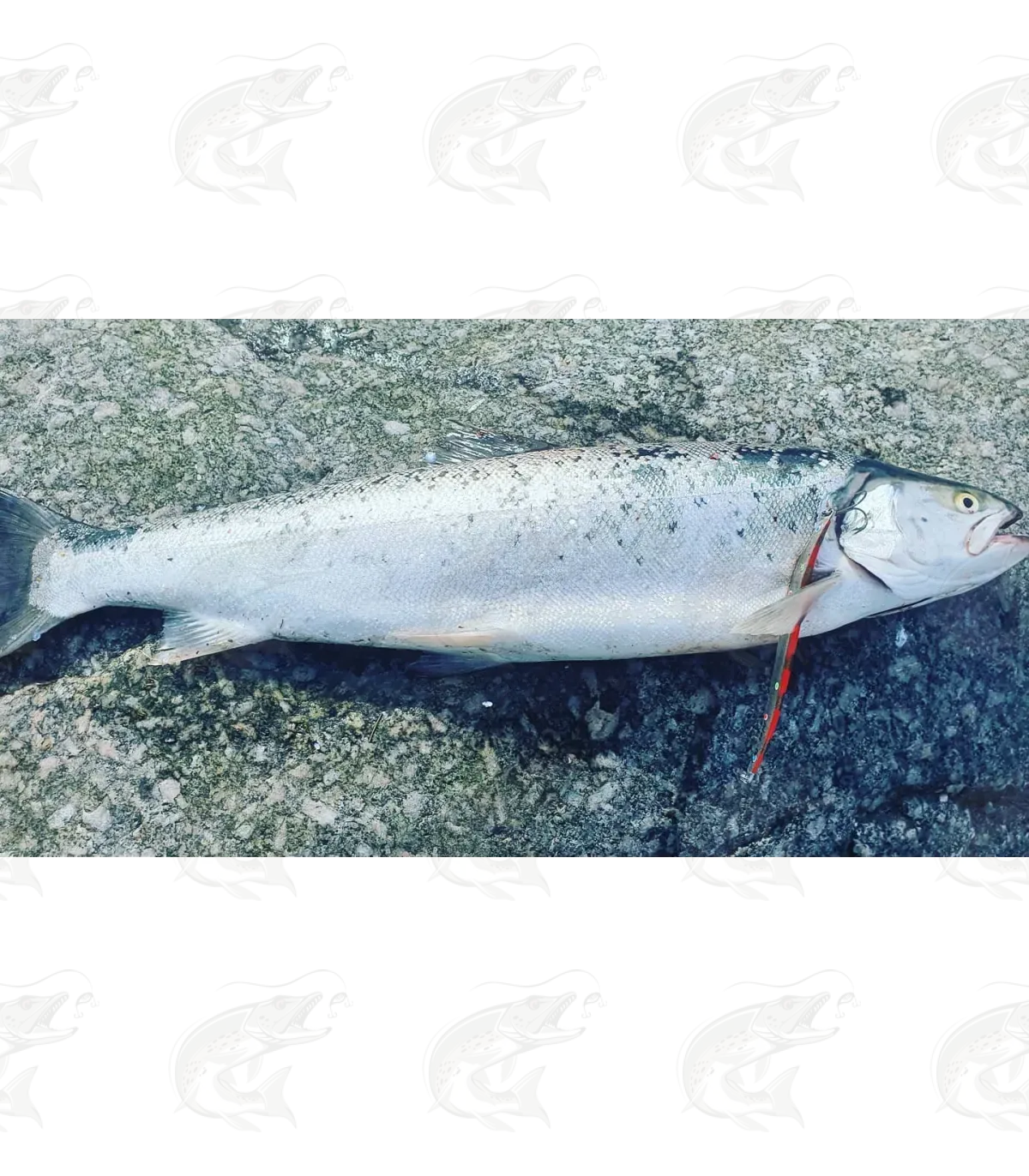 T.Lures Hybrid Sandeel seatrout lure