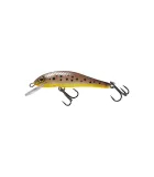 ARE voobler 62 mm | Brown Trout 2
