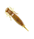 Fanatik Larva | color 003