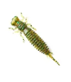 Fanatik Larva | color 005