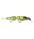 Creek Chub Jointed Pikie | Perch
