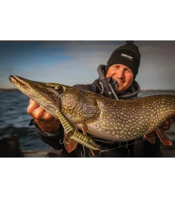 Sea Pike Fishing Lures,Dropshot Lure Fishing Kit,Jointed Bait