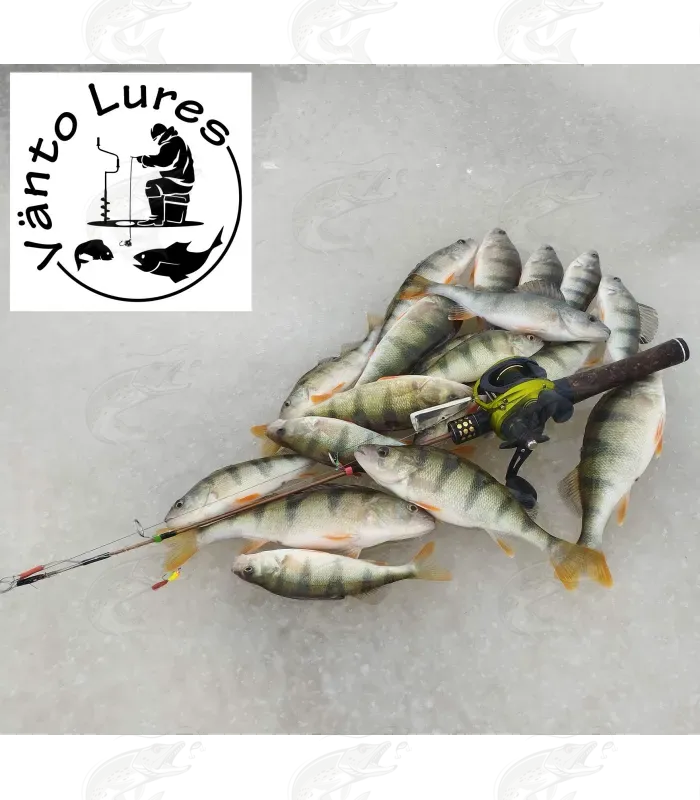 Cheap 1 Set Fishing Lure Starter Kit Ice Fishing Jigs Heads with