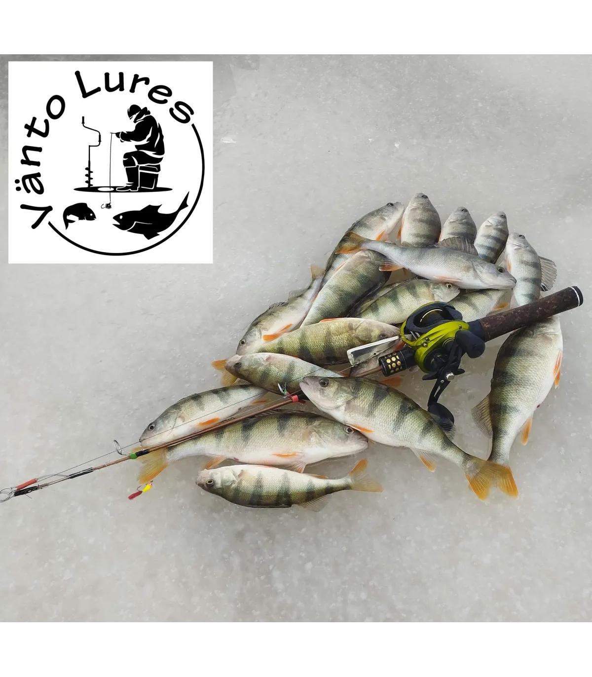 Jumbo Perch Ice Fishing Tips: Spring Bobber 