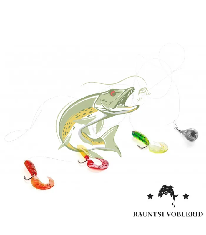 Weighted Perch Rig Raunts with Curly Tail Jigs