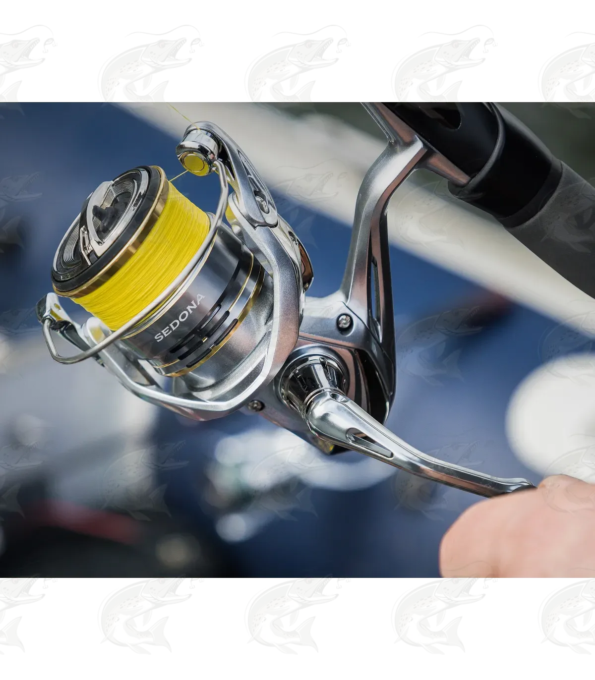 Shimano Sedona FJ spinning reel