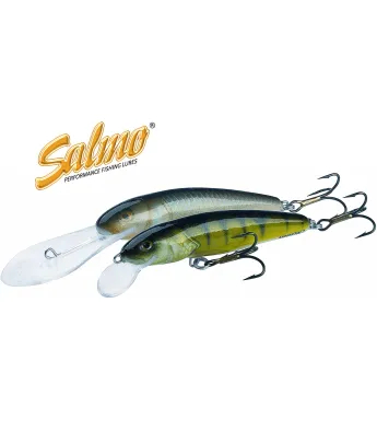 Salmo Minnow