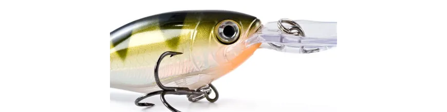 Hard Baits, Crankbaits & Plugs and Wobblers for Freshwater & Saltwater  Fishing