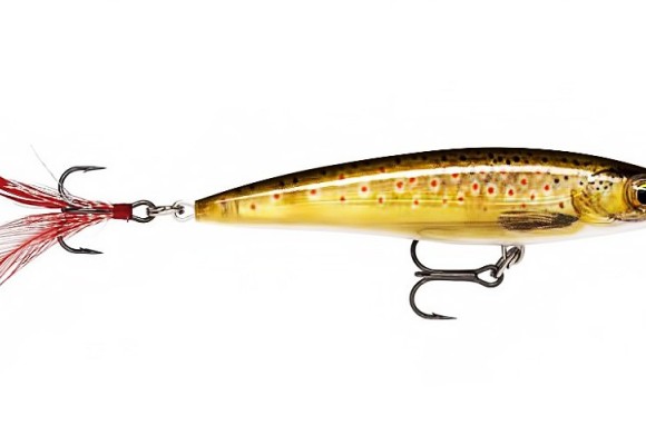 Rapala crankbaits for brown trout